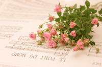 �����������������C���[�W